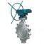 API Butterfly valve