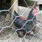 5x50ft Plastic Poultry Fence Poultry Netting, Chicken Net Fence