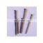 Low Price Common Nails /Iron Nail /Wire Nail Factory Made in China