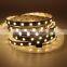 5050 Strip Led Lights 12V 24V Dual Color Temperature Cold White Warn White for Room Decor
