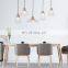 Environmental protection modern european style pendant lamp modern  pendant lamp