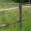 pasture electric fence accessories electric polytape webbing