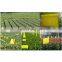 Yellow fruit fly catcher sticky glue trap paper board product killer insect with fly lure in garden