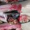 Good price frozen sardine fish block for export