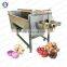 Fruit Cleaning Machine Konjac Potato Vegetable Washing Machine