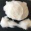 China White Cashmere Micron 15.8 32/34 mm Washed Cashmere Not Carded