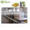 raisin washing and dehydration production line