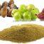 Natural Pure Triphala Powder Bulk Producers