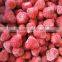 2015 Crops frozen strawberry