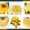 Leader high-end banana peeling machine Whatsapp:+8618336073732