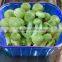 FDA Approval Custom-Made Different Types Plastic Frozen Food Tray Packaging