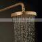 royal gold plated faucet with shower head