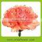Reasonable price best selling fresh cut flower of pink carnation flower