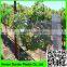 supplyhigh quality plastic anti bird netting&pond covering mesh
