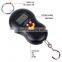 Colors optional luggage scale digital competitive price