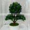 Hot sell mini artificial plant bonsai,artificial plants wholesale