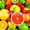 oil painting pictures of fruits on High quality Waterproof Polyester inkjet cloth