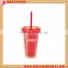 16 oz Insulated Double Wall Plastic Tumbler With Straw and Lid