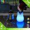 PE Plastic Waterproof Led Table Lamp/led Table Decoration Light for Coffee Shop/hotel