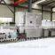 Vial Washing Drying Filling and Sealing Production Line
