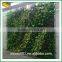 2016 hot sale artificial vertical green wall plastic artificial grass wall indoor decoration artificial plants wall