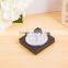Battery powered wall sconce LED push light