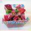 PVC storage basket/plastic basket(with coated iron frame)