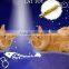 Laser Pointer Pen With White LED Light Show Funny Pet stick Childrens Cat Toy
