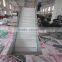 plastic belt lifting conveyors for food production line