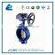 Worm Gear Butterfly Valve