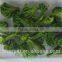 VF Dried Broccoli -Vacuum Fried Dried Vegetables Crispy