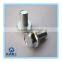 Small series hexagon washer head screws with high quality