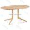 Wooden Dining Table / Wooden Furniture /Dining Set