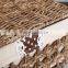 Beautiful rattan storage boxes with lids