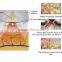 Body contour perfect result RF+ Vacuum Slimming Machine
