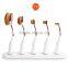 5/6pcs Vegan Cosmetic Makeup Brush Custom Toothbrush Oval Multi-purpose Makeup Brush