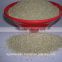 Quinoa Grain / Chenopodium quinoa / Quinoa Grain /Quinoa Bulk Grain