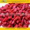 GMP Certified Manufacturer Supply 2016 Chinese Goji Berry