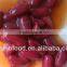 syrup preservation canned red kidney beans in tomato sauce