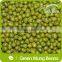 2015 New Crop Food Grade Green Mung Bean From China