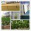 Seed Starting Hydropnics Rockwool for Nursery / Gardening