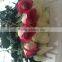 Discount for Freshly cut roses Frsh cut rose fresh flowers