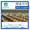 Top selling products 2016 sdi drip tape from China online shopping