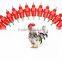 Direct manufacturer quail cage with automatic drinking system