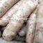 sheep hog casing edible collagen sausage casings sausage casing