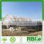 High Tunnel Greenhouse Tunnel Galvanized Tube Single or Multi Span Film Greenhouse Low Cost for Farming