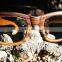 Vintage wooden spectacle frame