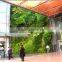 1 sqm decorative home decor artificial moss landscaping factory green wall HMR08