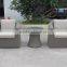 Comfortable Antique Leisure Sofa (BG-P39)