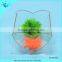Fashion design acrylic fish shaped fish tank